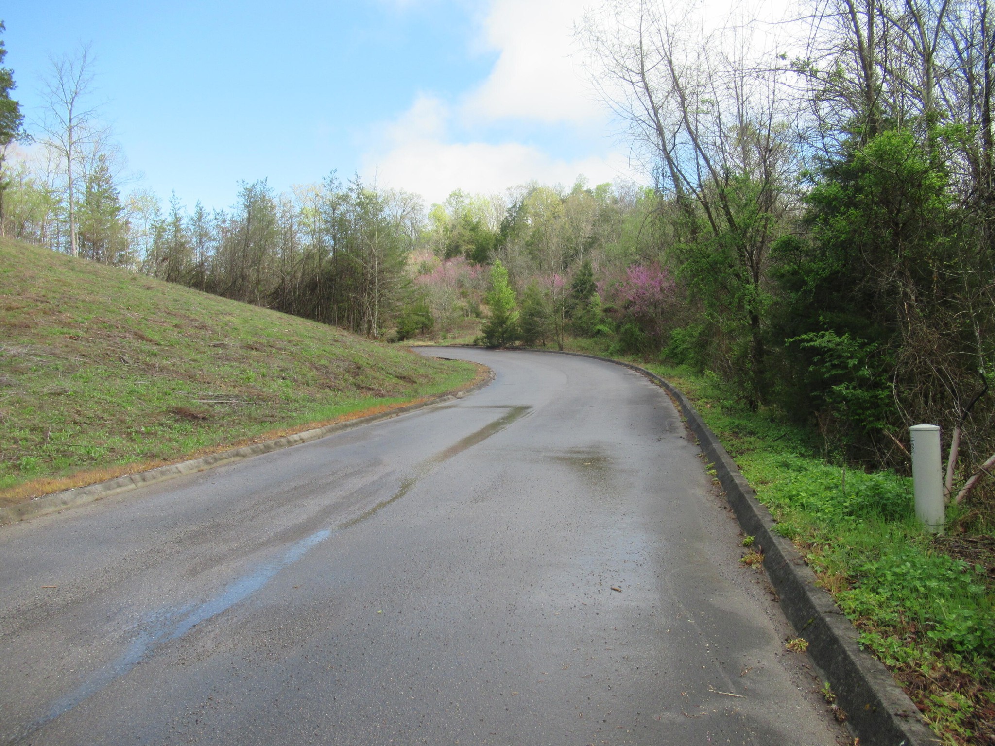 10 Hidden Ranch Way Seymour, TN 37865 - Photo 12 of 25 Gallery Image 12