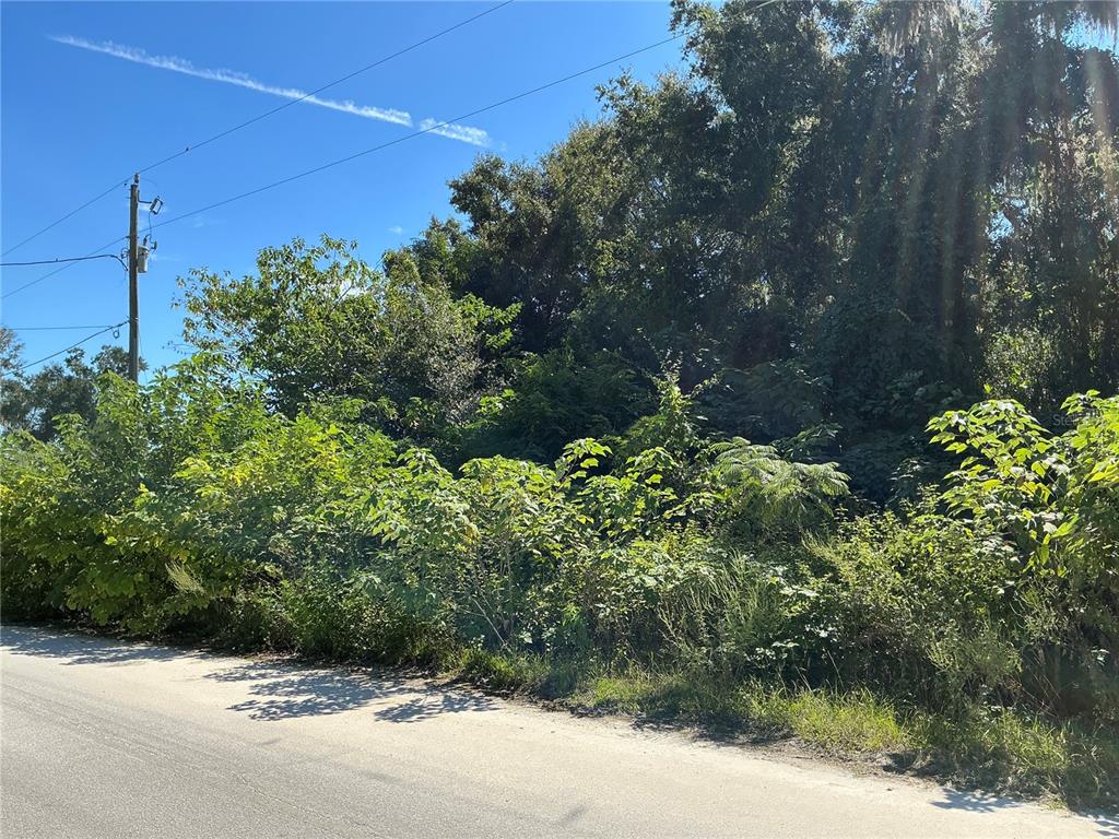 0 Southeast 134th Place Belleview, FL 34420 - Photo 2 of 7 a backyard of a house with lots of green space