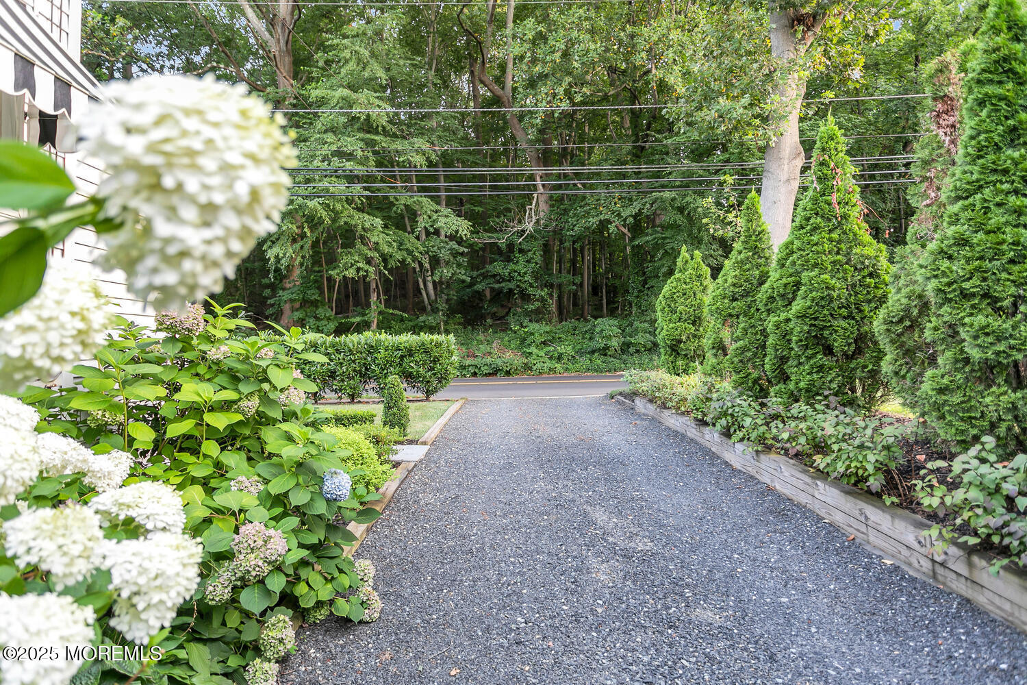 303 Hillside Avenue Atlantic Highlands, NJ 07716 - Photo 25 of 103 a view of a yard with plants and large trees