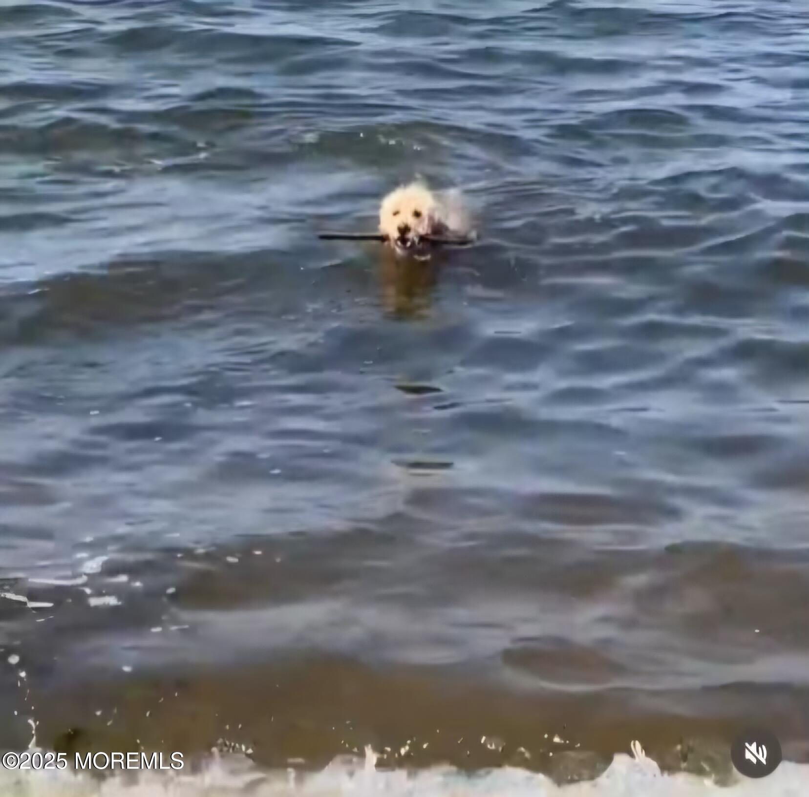 303 Hillside Avenue Atlantic Highlands, NJ 07716 - Photo 98 of 103 IMG_20251106_212141