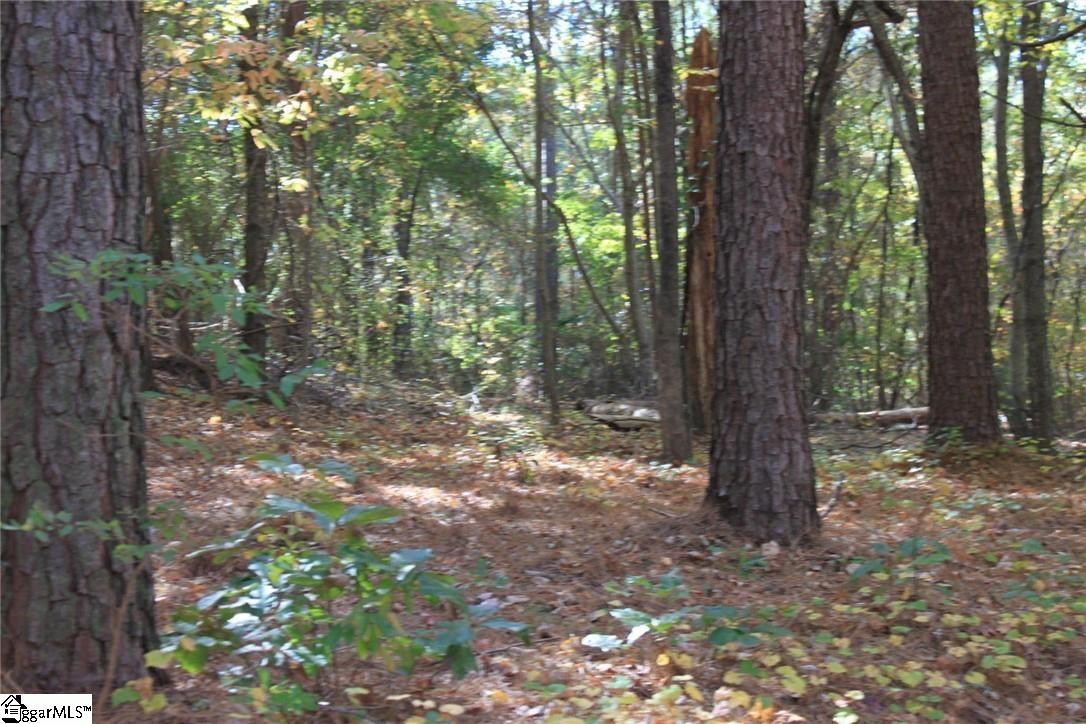 0 Inwood Court Seneca, SC 29672 - Photo 4 of 36 Gallery Image 4