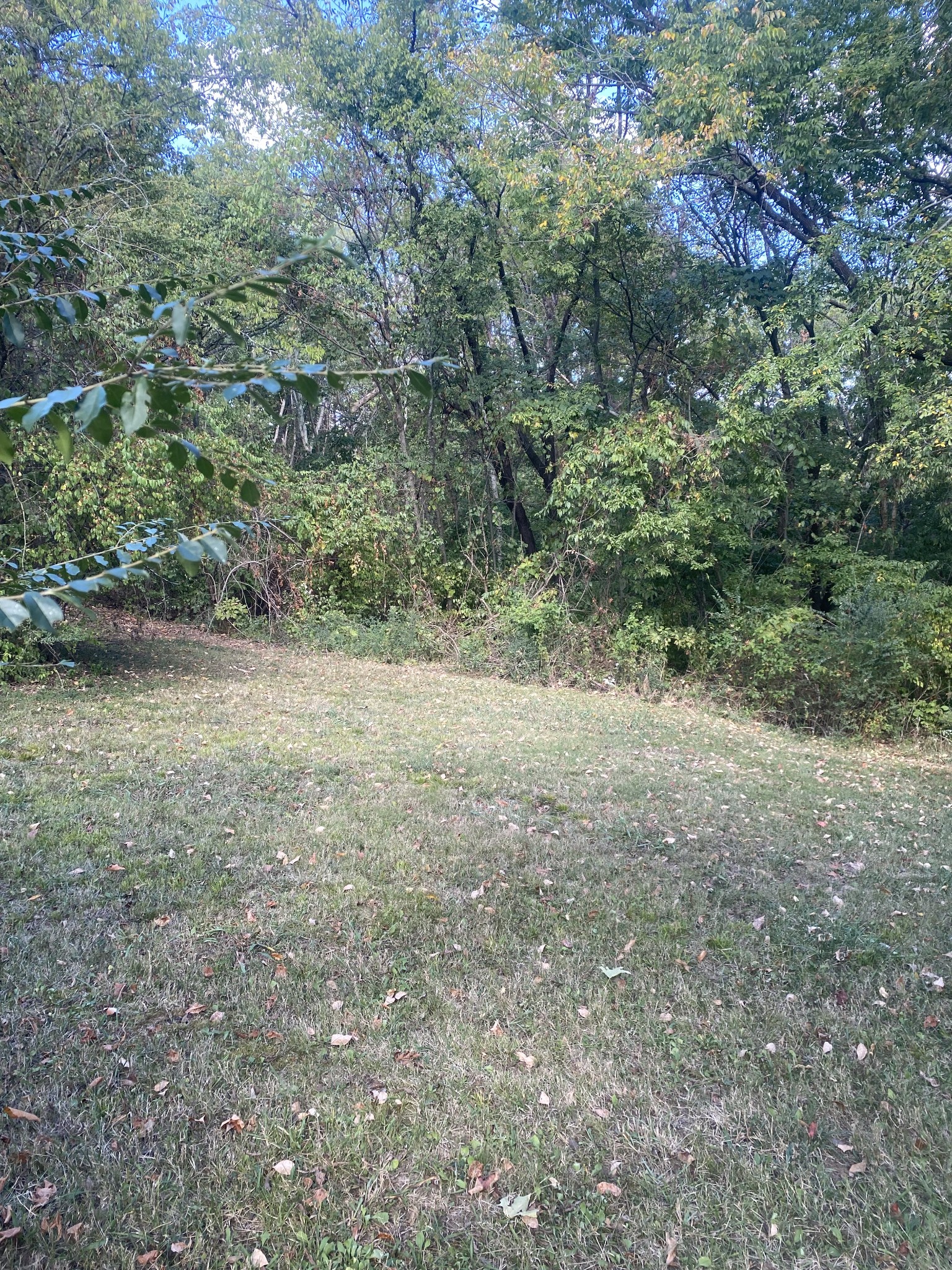 175 Crawford Hill Road Goodlettsville, TN 37072 - Photo 5 of 25