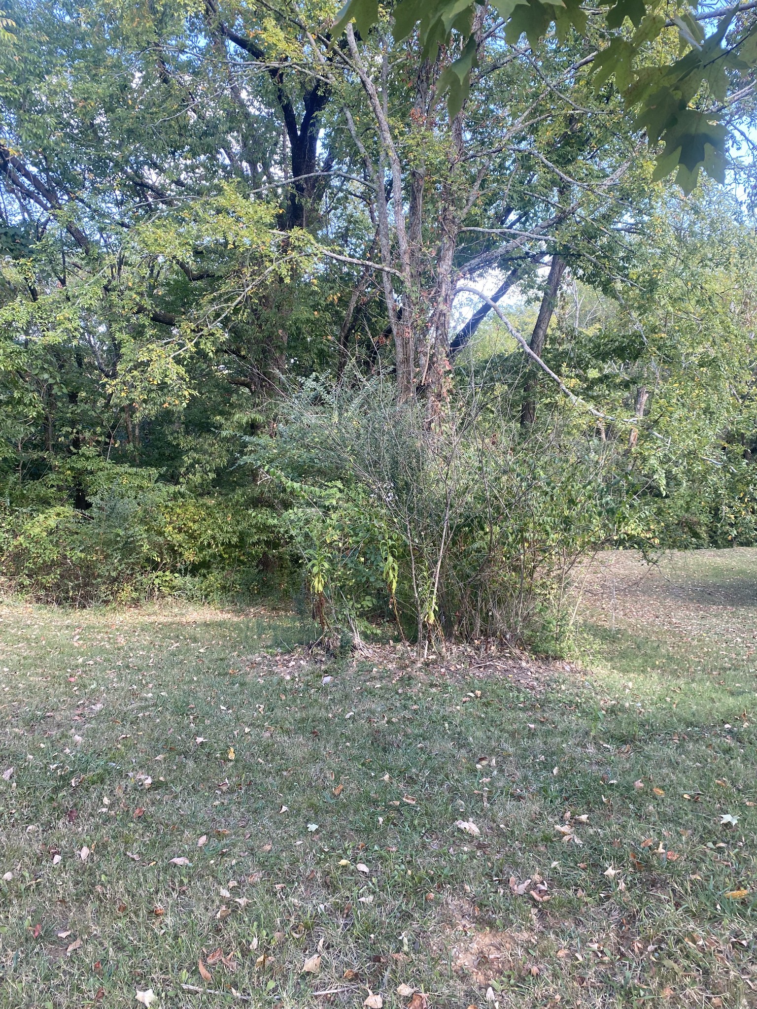 175 Crawford Hill Road Goodlettsville, TN 37072 - Photo 6 of 25