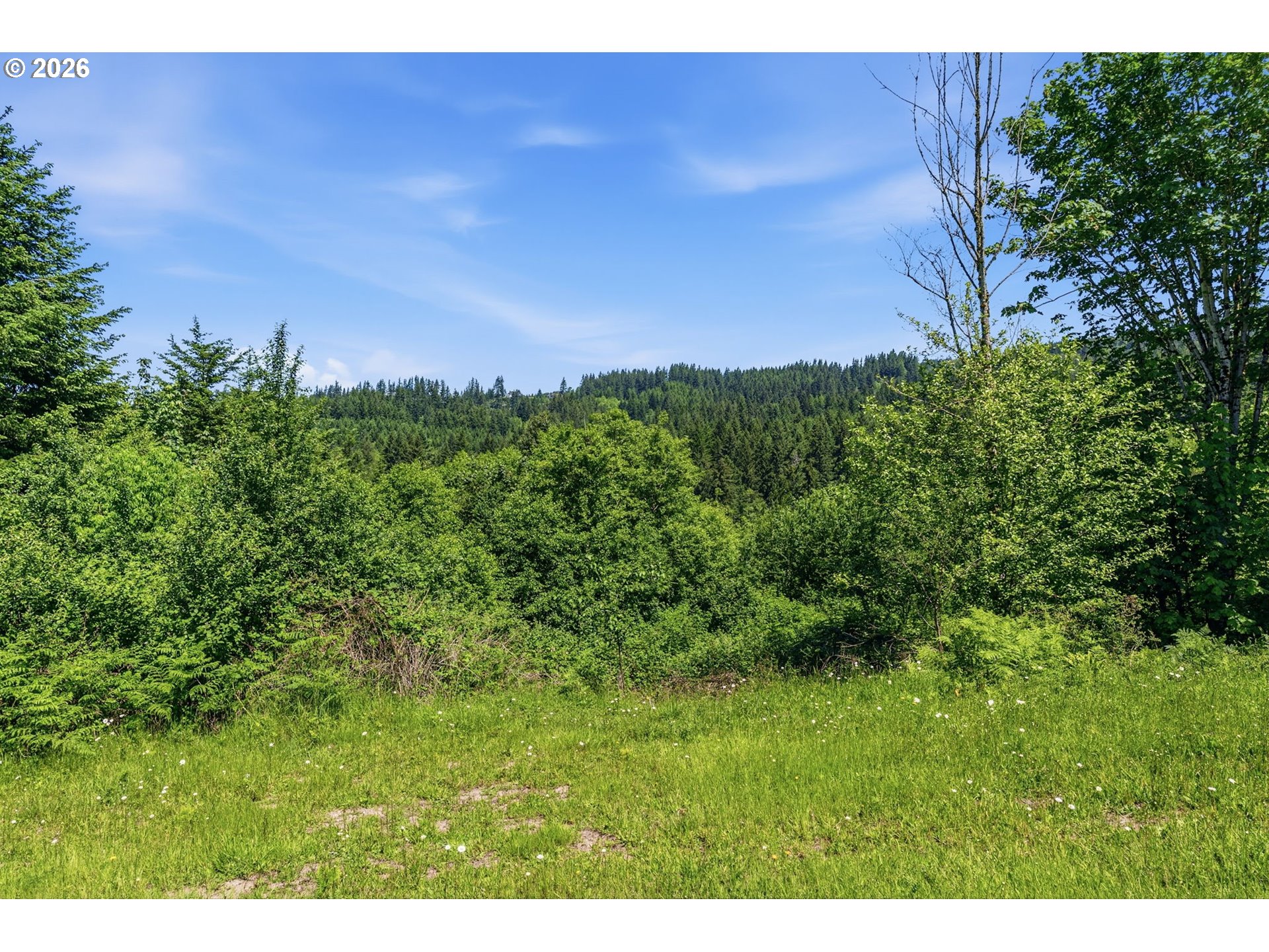 852 Confer Road Kalama, WA 98625 - Photo 8 of 16
