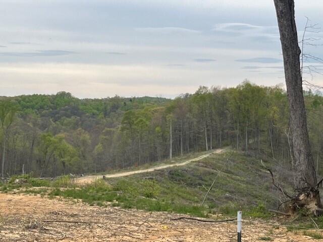 0 Gearing Ridge Road Londonderry, OH 45647 - Photo 26 of 29 Views from the property