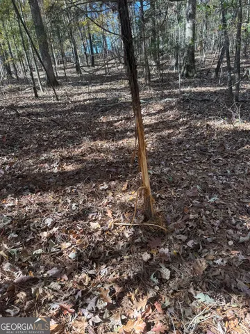 a view of a yard with trees