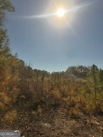 a view of a yard with mountains in the background