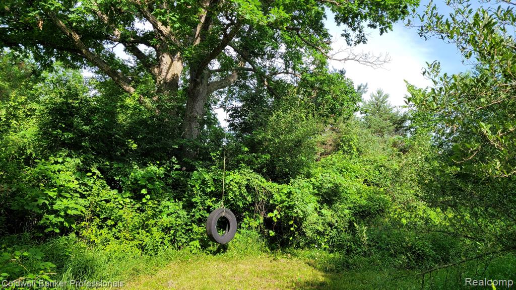 0 North Lapeer Road Columbiaville, MI 48421 - Photo 19 of 20