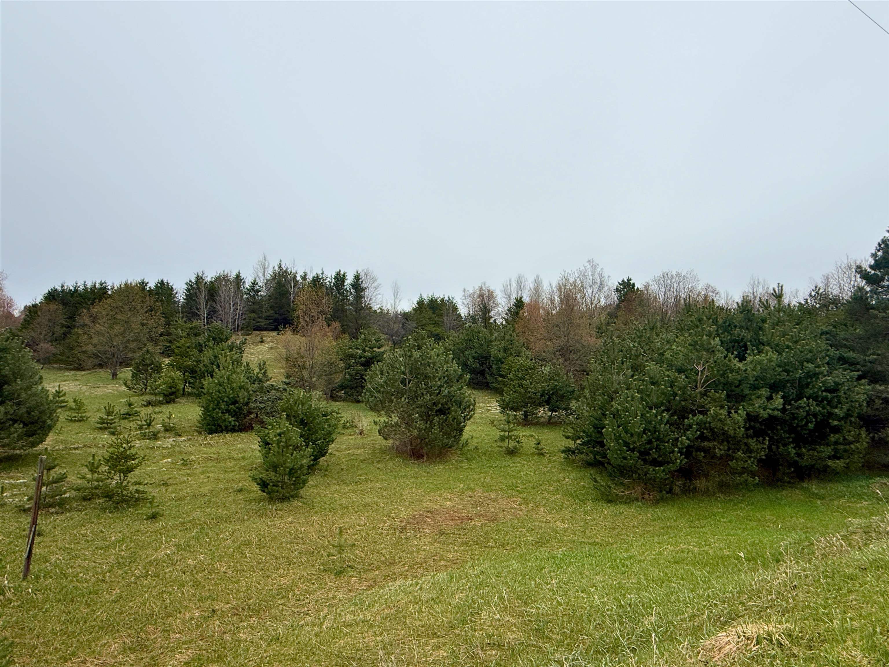 0 West County Line Road, Unit LOT: C Thompsonville, MI 49683 - Photo 7 of 21