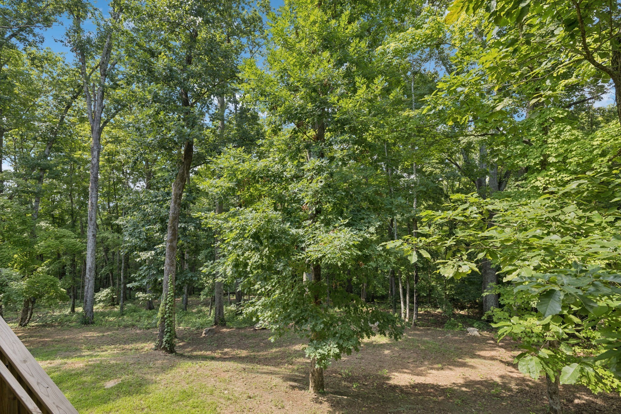 1556 Heller Ridge Spring Hill, TN 37174 - Photo 55 of 56