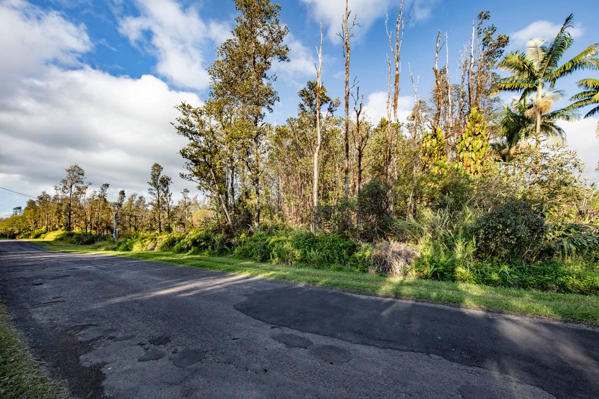 11-2884 Lot 7398 Hibiscus St Mountain Vw  