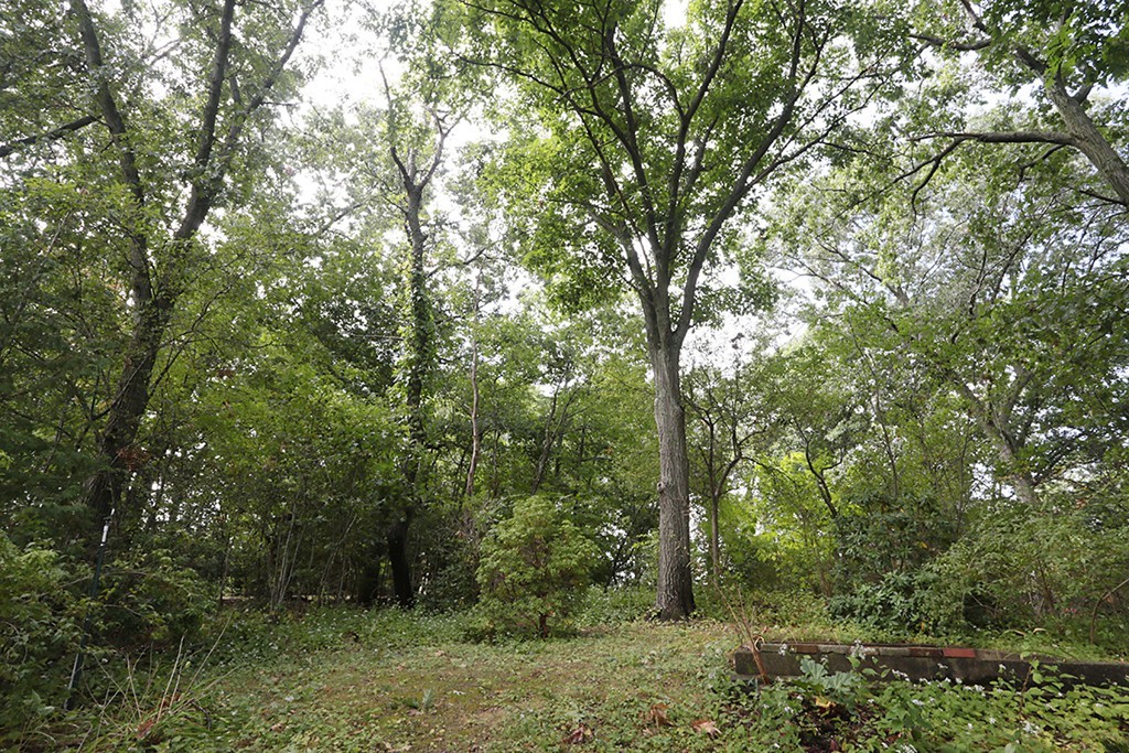 61 Hackensack Road Boston, MA 02467 - Photo 20 of 24