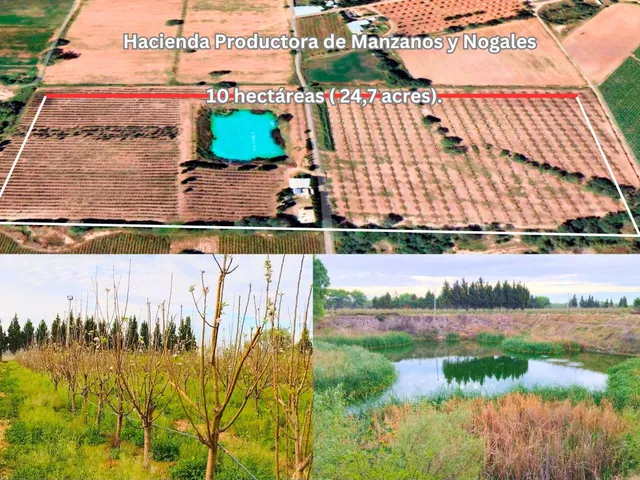a view of swimming pool with a lake and trees in the background