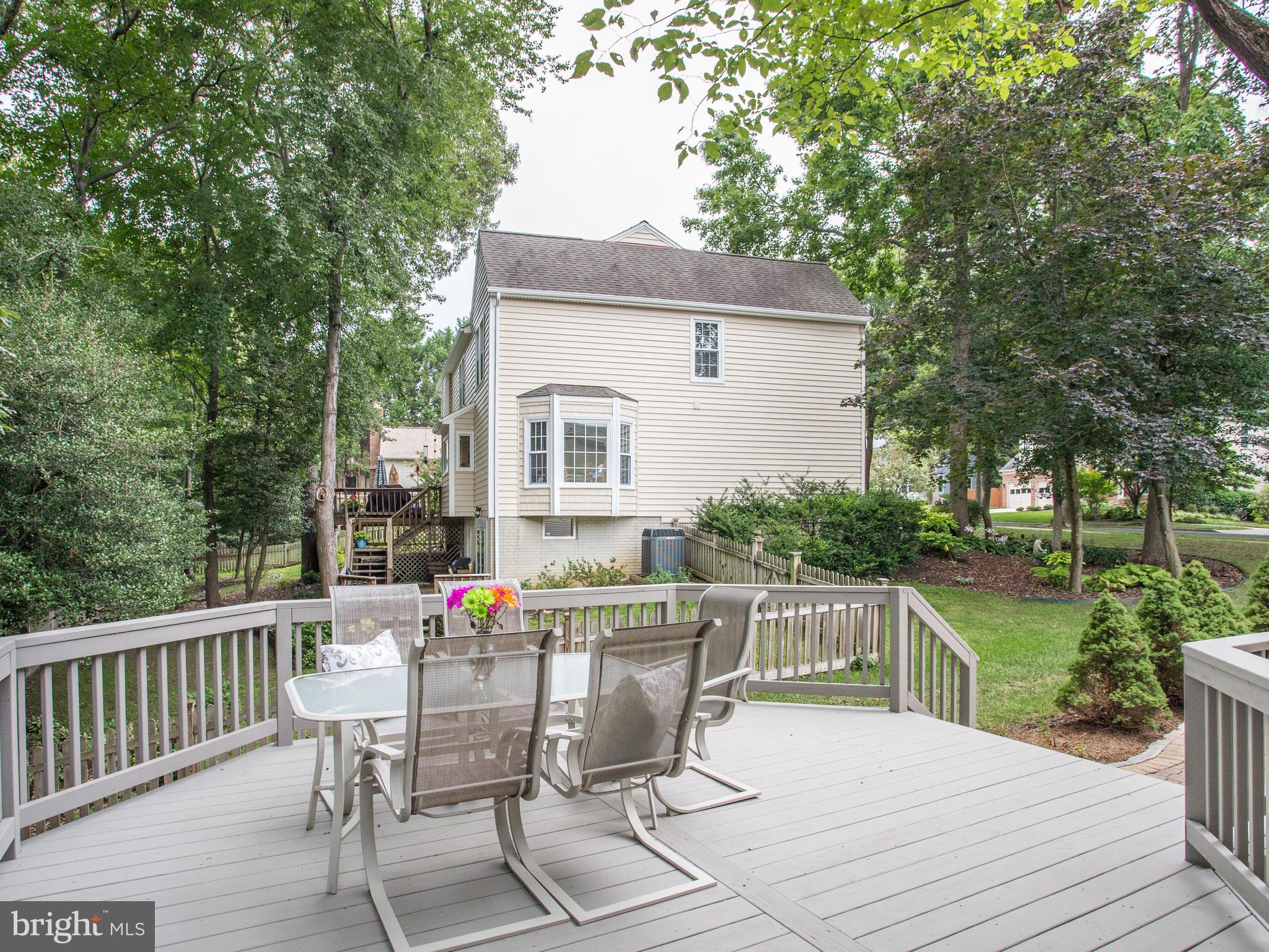 357 Derbyshire Lane Riva, MD 21140 - Photo 28 of 30 no lawn to cut in the back, tall magistic trees