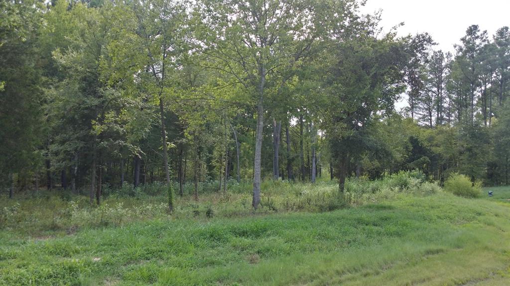 336 Grand View Drive Athens, TX 75752 - Photo 2 of 14 a view of a lush green forest