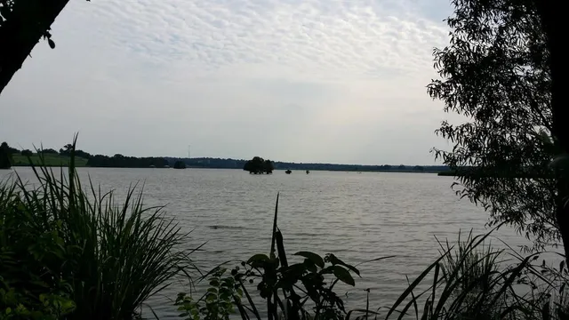 a view of a patio with table and chairs and potted plants