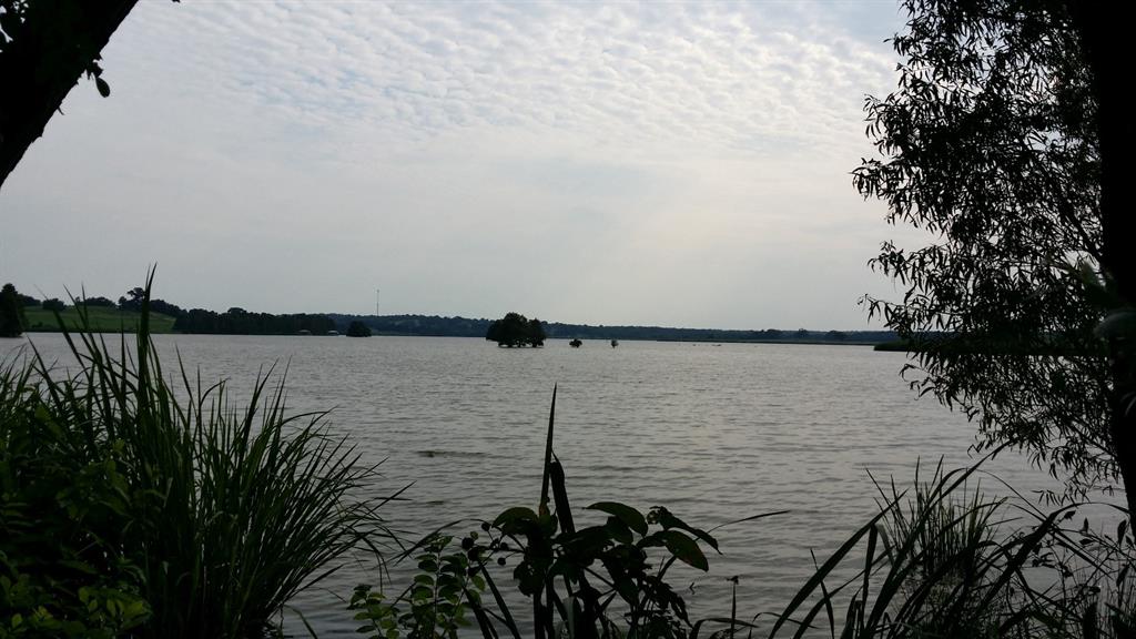 336 Grand View Drive Athens, TX 75752 - Photo 7 of 14