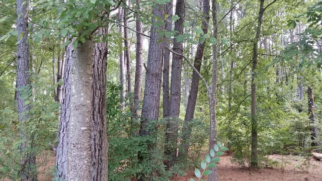 a patio with table and chairs