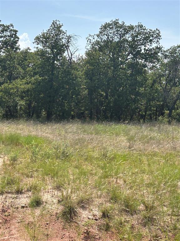 0 Stallion Meadows Perrin, TX 76486 - Photo 2 of 4 a view of a yard