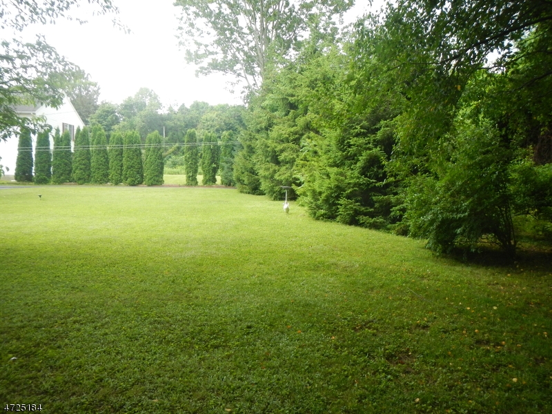 482 Highway 46 Hackettstown, NJ 07840 - Photo 15 of 16 a view of a field with trees in the background