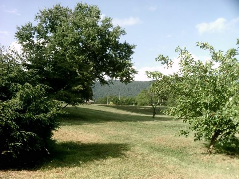405 Truman Hill Road Hardy, VA 24101 - Photo 11 of 112 SUNP0055
