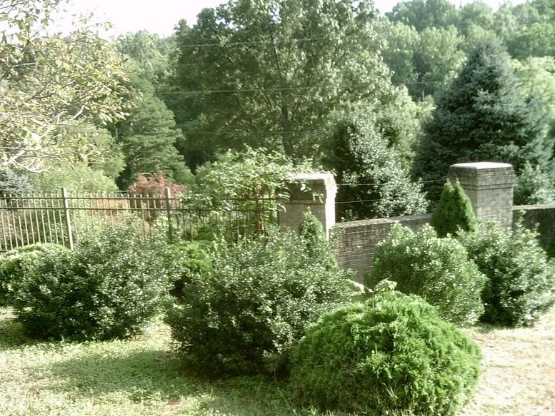 405 Truman Hill Road Hardy, VA 24101 - Photo 102 of 112 SUNP0173