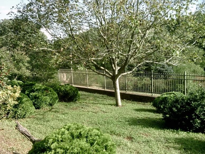 405 Truman Hill Road Hardy, VA 24101 - Photo 103 of 112 SUNP0174