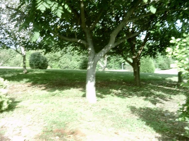 405 Truman Hill Road Hardy, VA 24101 - Photo 104 of 112 SUNP0176