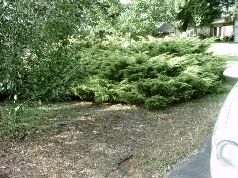 405 Truman Hill Road Hardy, VA 24101 - Photo 105 of 112 SUNP0178