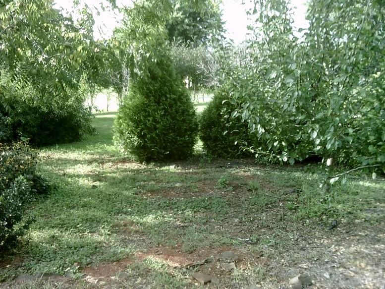 405 Truman Hill Road Hardy, VA 24101 - Photo 106 of 112 SUNP0179
