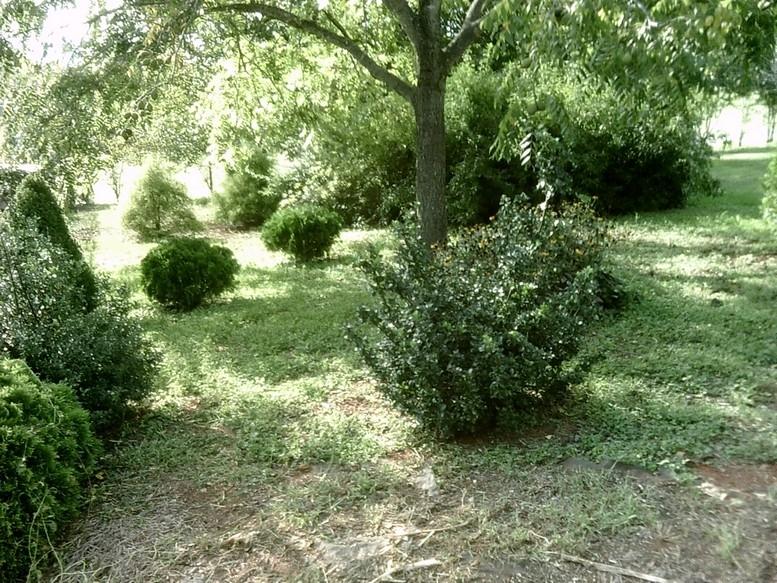 405 Truman Hill Road Hardy, VA 24101 - Photo 107 of 112 SUNP0180