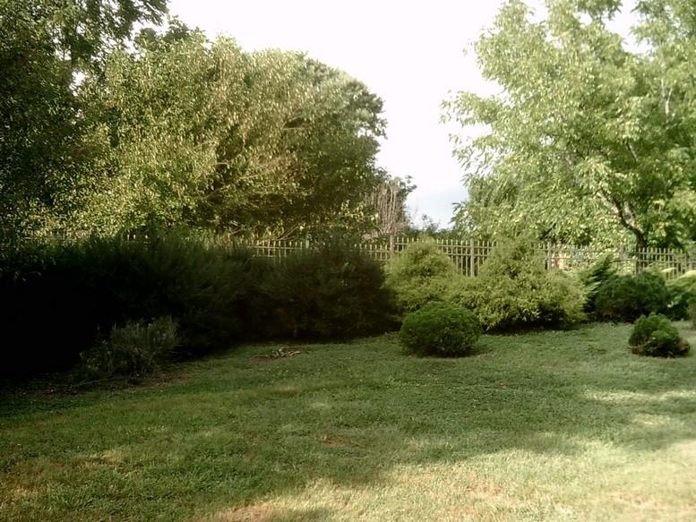 405 Truman Hill Road Hardy, VA 24101 - Photo 112 of 112 SUNP0192