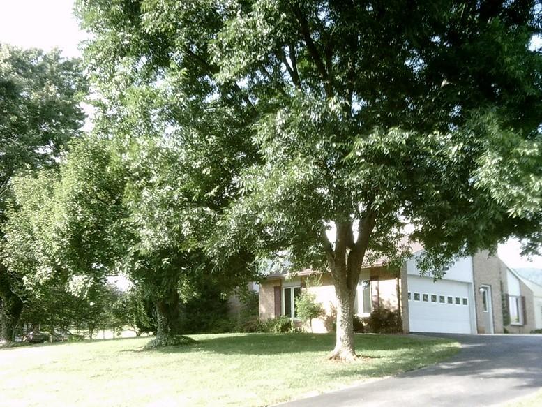 405 Truman Hill Road Hardy, VA 24101 - Photo 14 of 112 SUNP0058