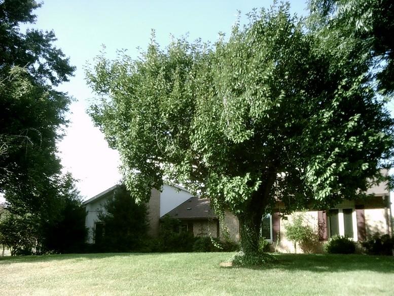405 Truman Hill Road Hardy, VA 24101 - Photo 17 of 112 SUNP0064