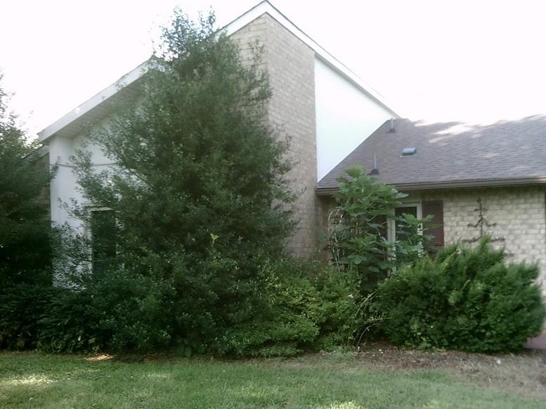 405 Truman Hill Road Hardy, VA 24101 - Photo 22 of 112 SUNP0071