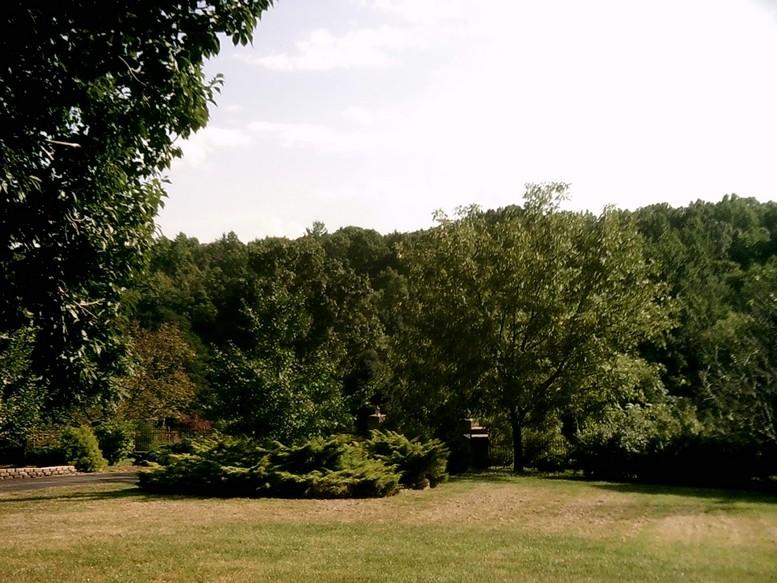 405 Truman Hill Road Hardy, VA 24101 - Photo 23 of 112 SUNP0072