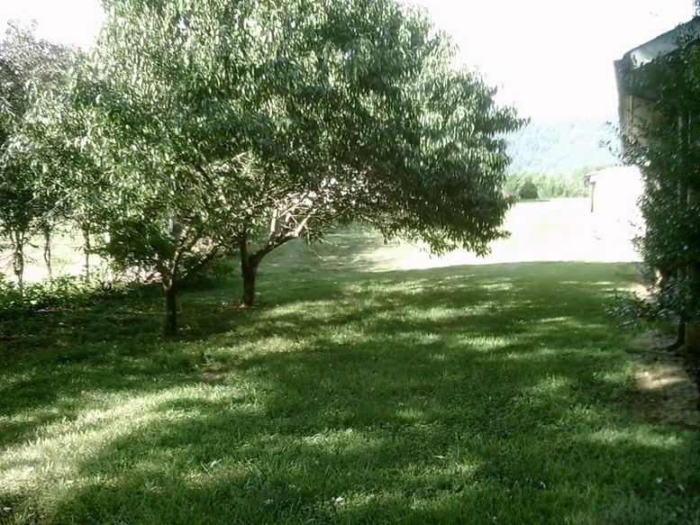405 Truman Hill Road Hardy, VA 24101 - Photo 24 of 112 SUNP0073