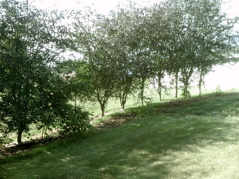 405 Truman Hill Road Hardy, VA 24101 - Photo 29 of 112 SUNP0079