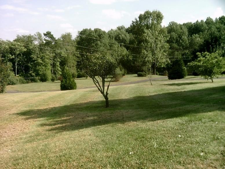 405 Truman Hill Road Hardy, VA 24101 - Photo 45 of 112 SUNP0096