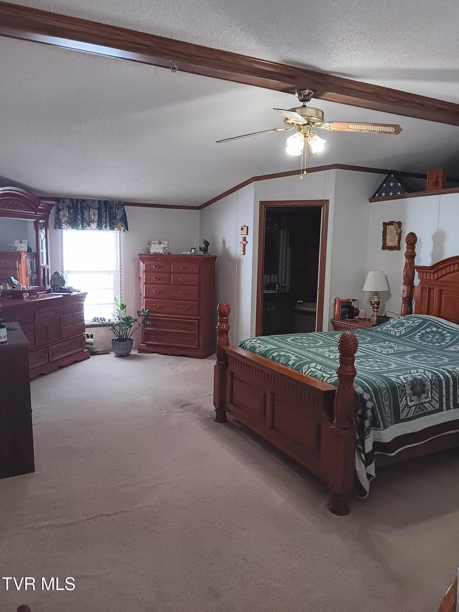 860 Bales Road Mosheim, TN 37818 - Photo 29 of 54 20260203_100232