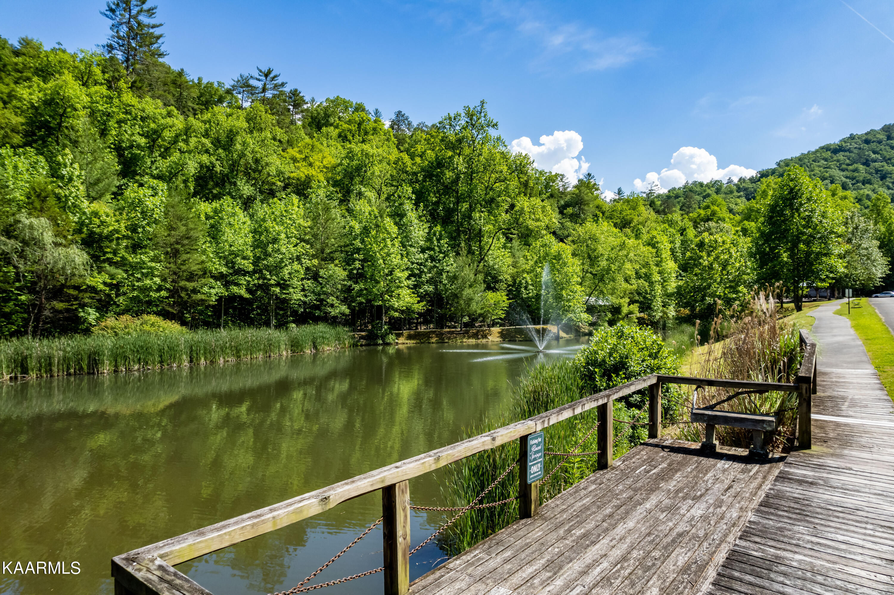 129 Springside Way Townsend, TN 37882 - Photo 13 of 16 Fishing Pier 01
