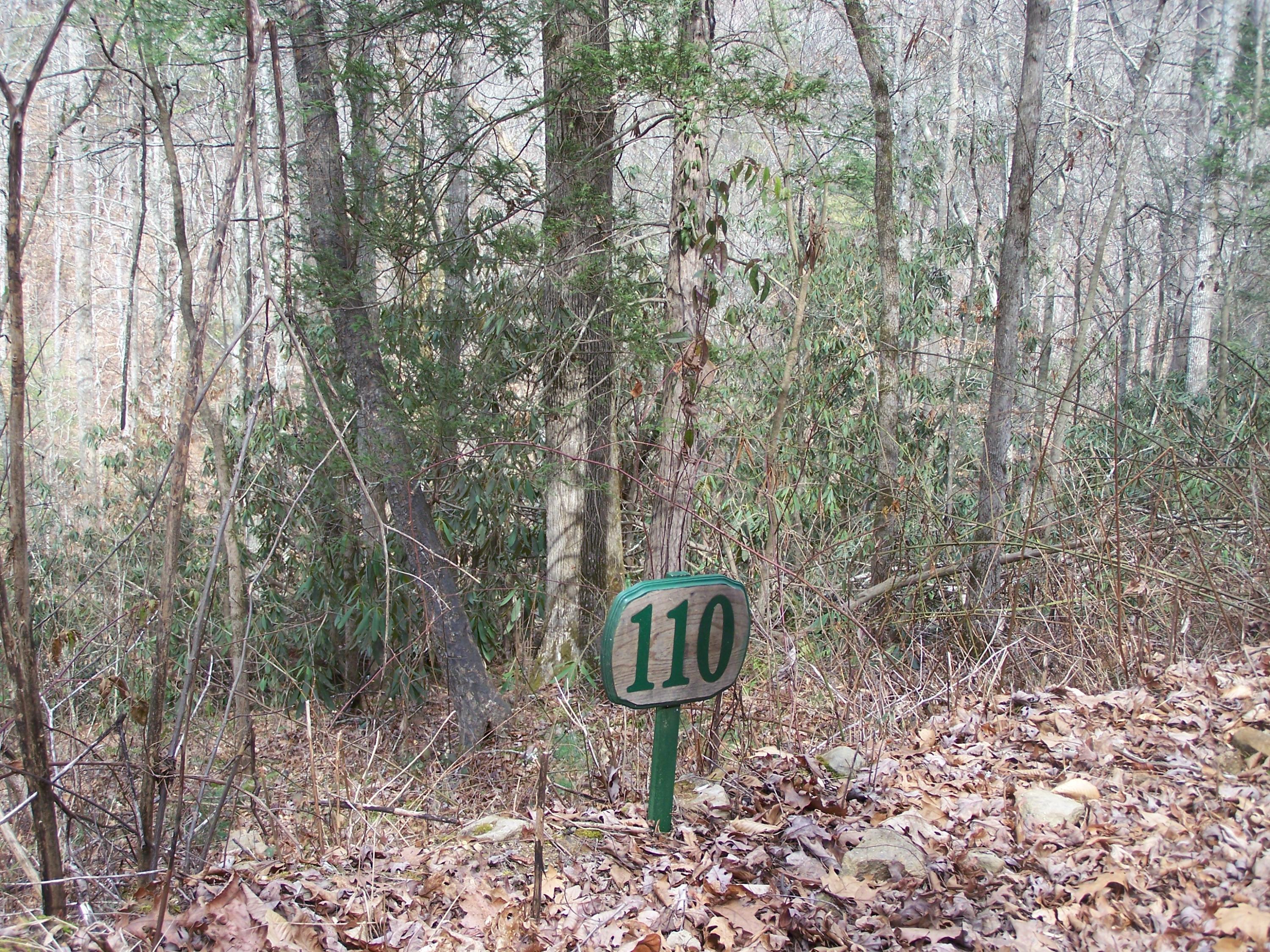 129 Springside Way Townsend, TN 37882 - Photo 2 of 16 Lt. 110