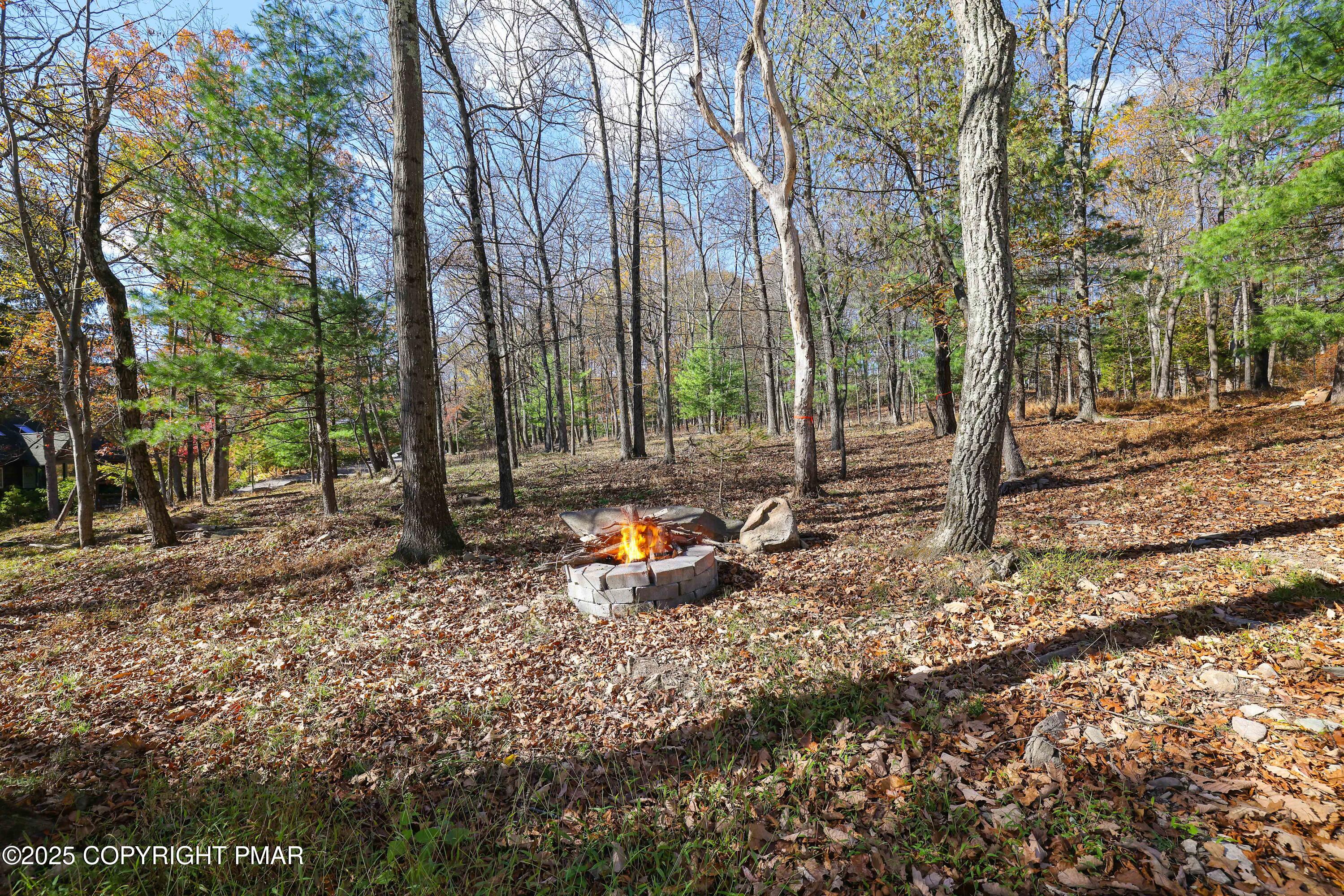 104 Haverhill Road Cresco, PA 18326 - Photo 50 of 86 a view of a park with large trees
