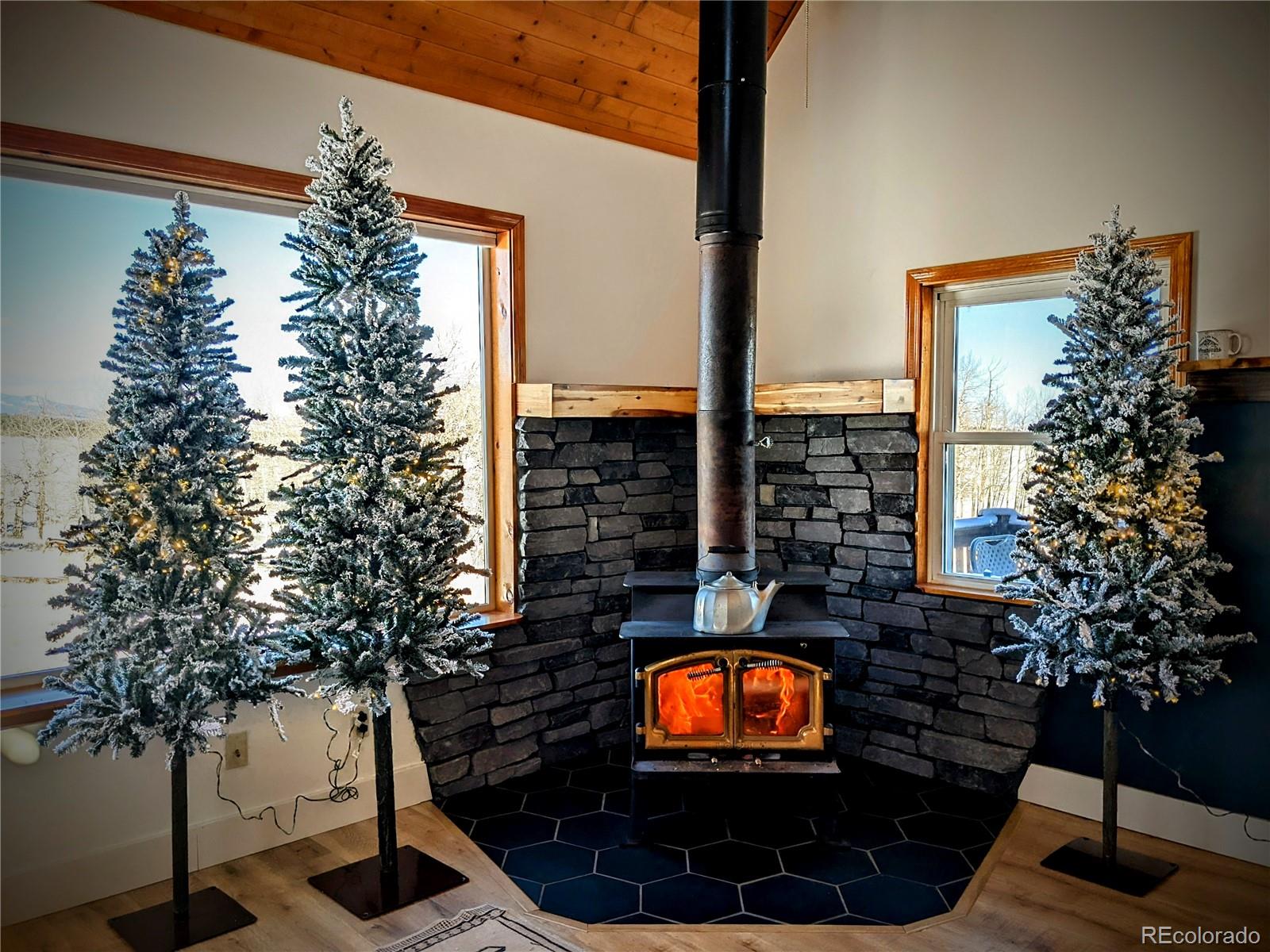 3953 Ranch Road Hartsel, CO 80449 - Photo 36 of 48 Gallery Image 36