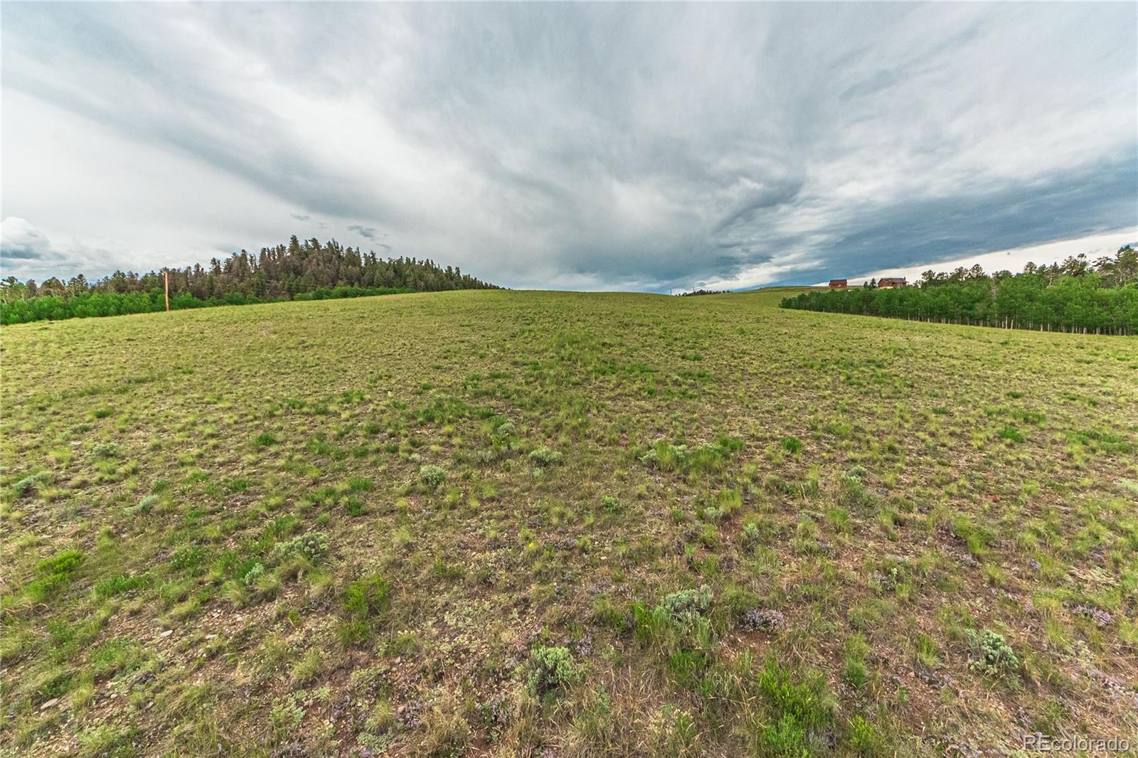3953 Ranch Road Hartsel, CO 80449 - Photo 42 of 48 Gallery Image 42