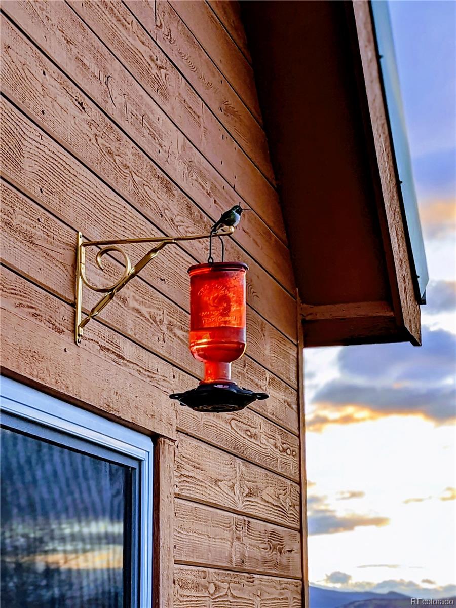 3953 Ranch Road Hartsel, CO 80449 - Photo 48 of 48 Gallery Image 48