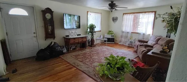a living room with furniture and a potted plant