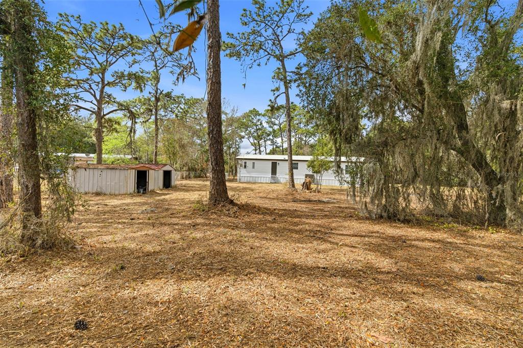 3906 Fox Ridge Boulevard Wesley Chapel, FL 33543 - Photo 5 of 58 Gallery Image 5