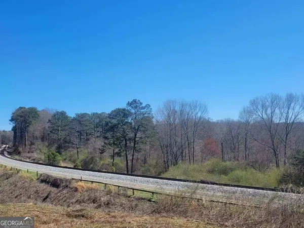 a view of a yard with trees in the background