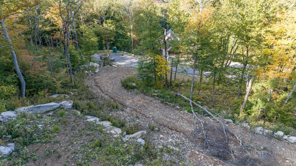 77 Red Robin Road Banner Elk, NC 28604 - Photo 11 of 27 a view of a forest with trees